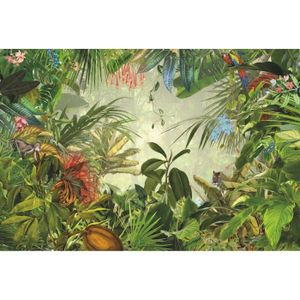 Avoir Images Komar Achat Vente Produits Komar Pas Cher Cdiscount le plus cool par