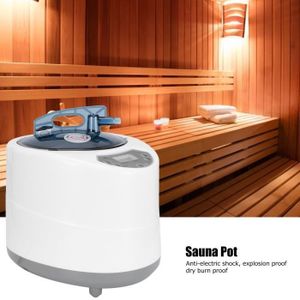 vapeur de spa de générateur de vapeur de tente de spa de sauna pour le spa dhôtel Machine de fumigation vapeur à la maison 