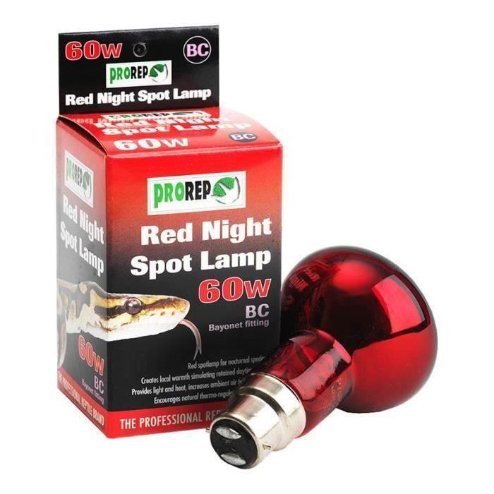 B22 R63 Ampoule chauffante verre rouge pr reptiles 63mm 40W WYK10342