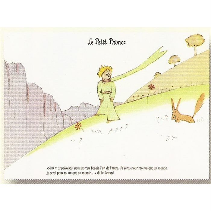 Plaque Metal x15cm Le Petit Prince Le Renard Cdiscount Maison