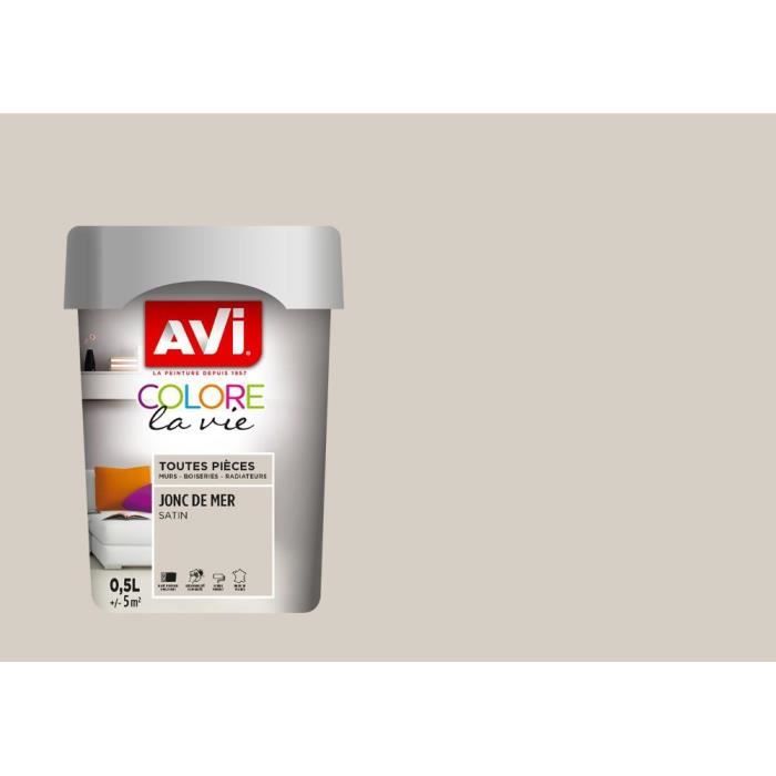 Avi Peinture Murale Toutes Pieces Jonc De Mer Satin 0 5 L Achat Vente Peinture Vernis Avi Peinture Murale Toutes Pieces Jonc De Mer Satin 0 5 L Cdiscount