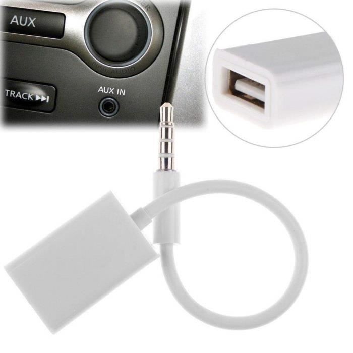 Adaptateur de câble de charge mâle vers USB 100, prise audio AUX, stéréo de  voiture, directions