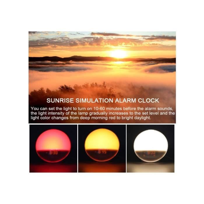 Réveil Simulateur D’aube Cadrim – Lampe De Chevet LED Avec Alarme, Sons Naturels Et FM - 9