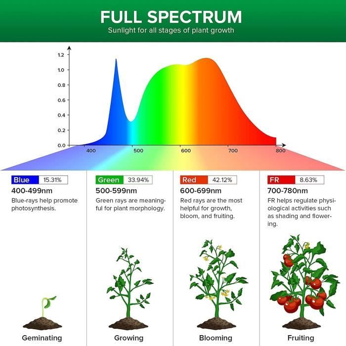 SANSI Lampe de Plante 350W Équivalente, Lampe de Croissance Horticole LED  30W à Spectre Complet pour Plantes Intérieures, 4 Pann56 - Cdiscount Jardin
