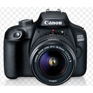 Meilleurs appareils photo reflex numériques en 2026: recommandés par