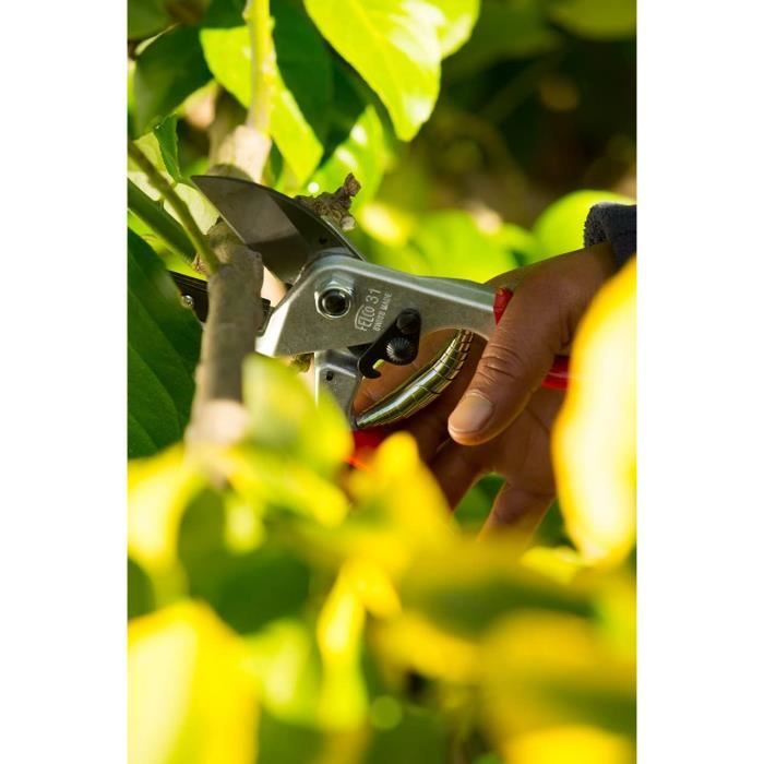 Sécateur FELCO 2 longueur totale 215 mm capacité de coupe 25 mm poids