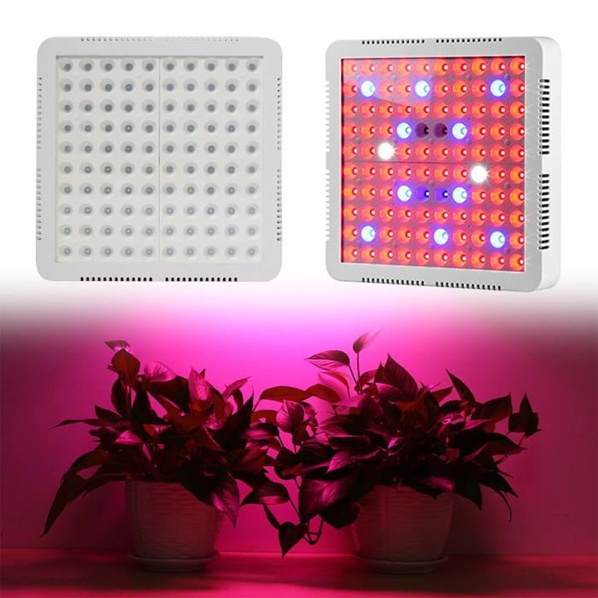 UISEBRT 300W Lampe de Croissance 100 LEDs Éclairage pour Plantes