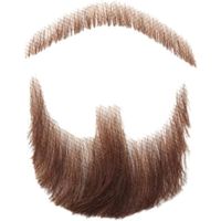 Fausse Moustache Face Barbe pour Les Adultes Costume de Maquillage réaliste Dentelle de Barbe Brun Fausse Moustache Face Barbe