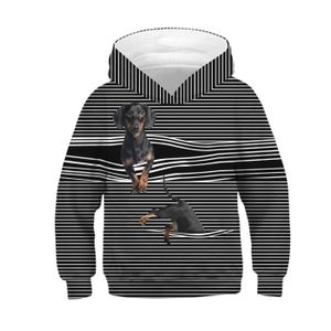 Nouveau STEIFF Garçons Hoodie taille 80 12 Mon Steiff Capuche Sweater
