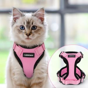 Chiens Kuozen Harnais Chien Harnais Petit Chien Pas Tirer Harnais Pour Chiens Chat Harnais Avec Plomb Chiot Harnais Pour Petits Chiens Blue Xs Animalerie Sandalsshoes Ge