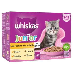 BOITES - PATÉES LOT DE 2 - WHISKAS - Junior Les Festins à la volaille Pâtée pour chat - boite de 12 sachets de 85 g