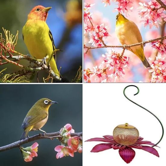 Mangeoire à oiseaux en métal piquets de fleurs belle échinacée rose plateau à oiseaux bol à nourriture mangeoire à oiseaux sauvage