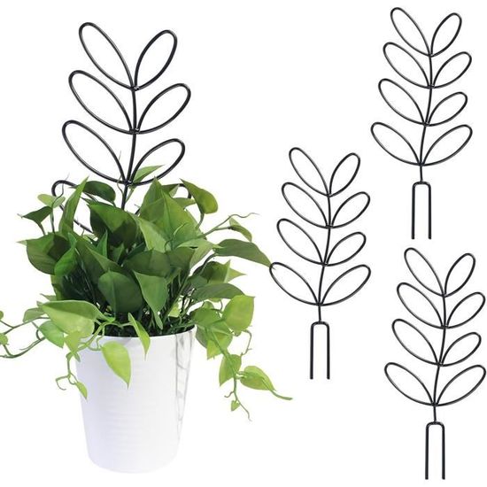 5 Supports Pour Plantes Grimpantes Métalliques - Tuteurs Intérieur/extérieur Dorés