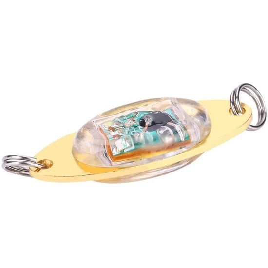 Fischer Pêcheurs Adultes Dynamo Lampe Arrière De Porte-Bagages LED Feu De Position, Rouge, One Size