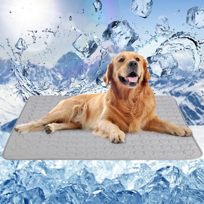 Primitives By Kathy Ensemble De Torchons De Cuisine, Be Your Own Kind Of Belles, Torchons Carrés à Motif Cactus De 71,1 Cm