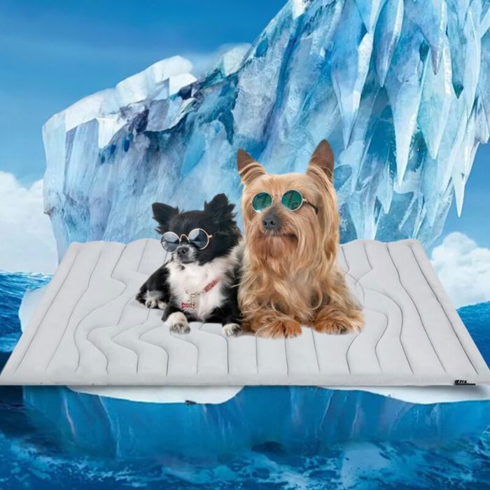 Tapis rafraîchissant réversible pour animaux 91x58 cm chaud/froid lavable machine sans gel gris