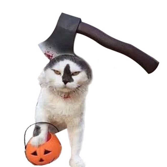 Accessoires Chat Et Chien Pet Hat Halloween Drole Decoration Conception Realiste De Chat De Chien Chapeau Cosplay Cjjbkm Achat Vente Jouet Accessories Pets Pet Cdiscount Accessoires Chat Et Chien Pet Hat Halloween Drole Decoration Conception Realiste De Chat De Chien Chapeau Cosplay Cjjbkm Achat Vente Jouet Accessories Pets Pet Cdiscount
