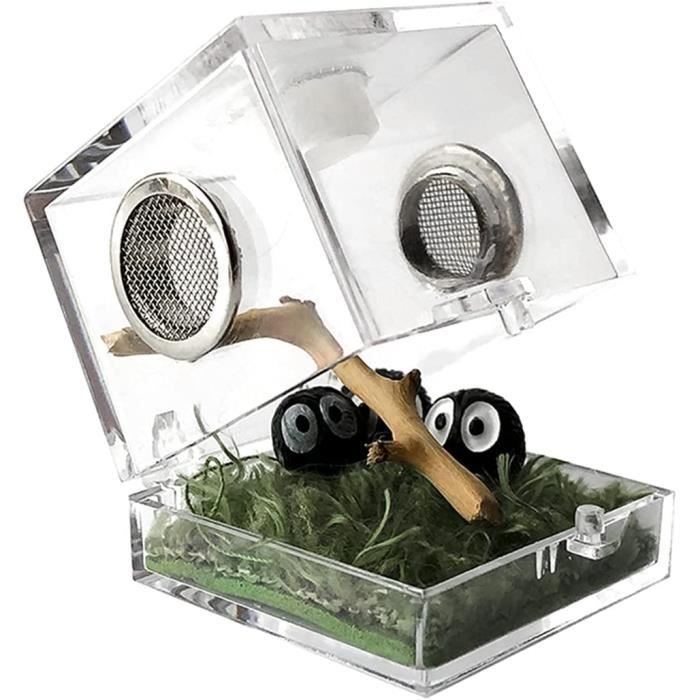 Terrarium Escargot,Terrarium Acrylique,Boîte en Verre Terrarium Maison