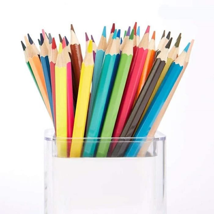 Lot de 24 crayons de couleur en plastique gras professionnel
