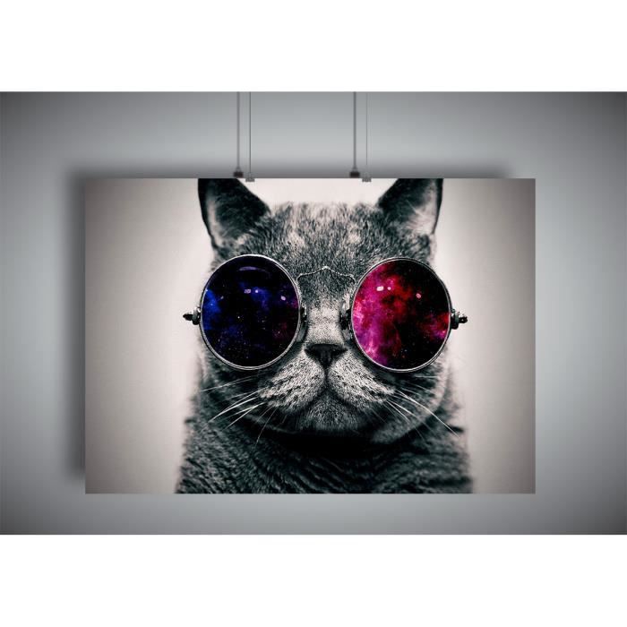 Poster Chat Avec Lunettes Popa3 42x29 7cm Cdiscount