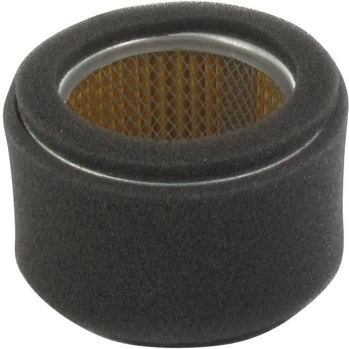 Filtre à air ROBIN 157-362-0101