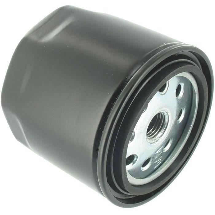 Filtre à huile LOMBARDINI 2175-028