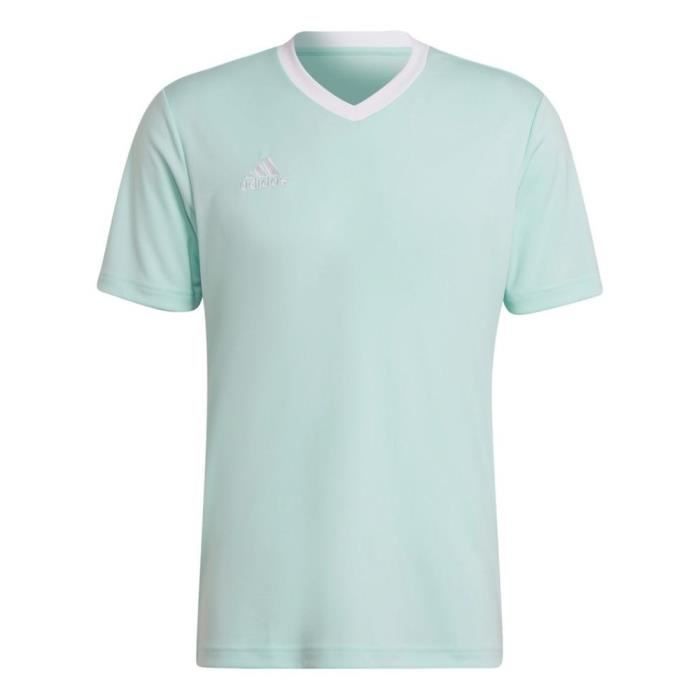 T-shirt ADIDAS Entrada 22 Turquoise - Homme/Adulte