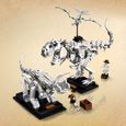 LEGO® Ideas 21320 - Les fossiles de dinosaures-1
