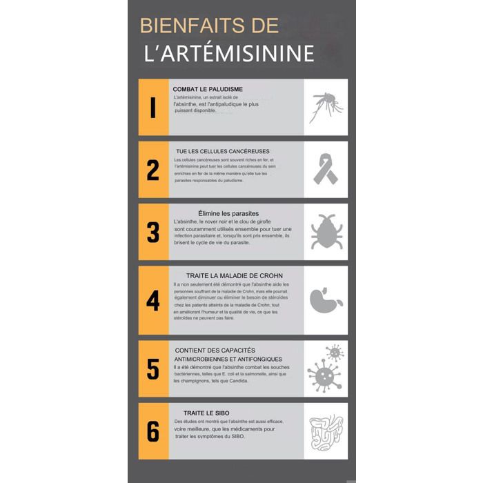 Complement Infusion Complément Alimentaire Herbal D-tox Infusion Renforcement de L ...