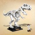 LEGO® Ideas 21320 - Les fossiles de dinosaures-2