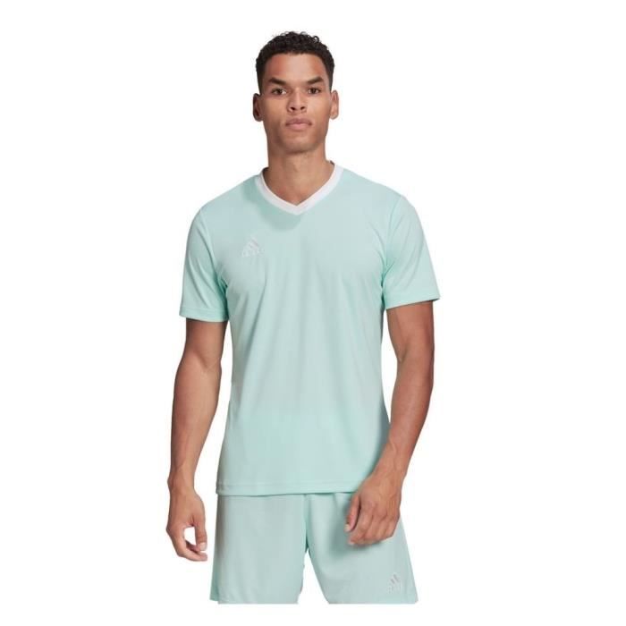T shirt ADIDAS Entrada 22 Turquoise Homme Adulte Cdiscount Sport