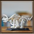 LEGO® Ideas 21320 - Les fossiles de dinosaures-4