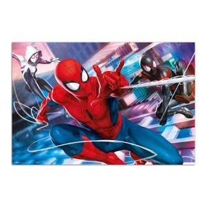 AFFICHE - POSTER Affiche Spider-Man Peter Parker Miles Morales & Gw