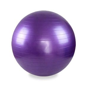 MEDECINE BALL Medecine ball - Violet - 65 CM - Améliore l'équilibre, la force et la coordination