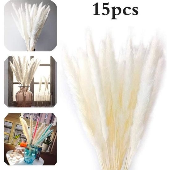 15pcs Natural Dried Reed Flowers Bouquets Pampas Herbe pour la décoration de table à domicile