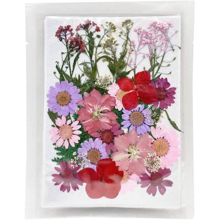 Fleurs Pressées Séchées Naturelles HIQE-FL - Vraies Fleurs Pour Résine Époxy, DIY, Décoration Et Création