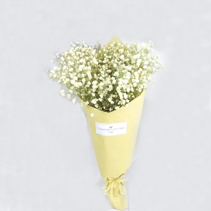 Bouquets De Fleurs Seches Pour Bebe Bouquets De Fleurs Pour Le Souffle Naturel Grappes De Fleurs Pour Le White Color Achat Vente Fleur Artificielle Soldes Sur Cdiscount Des Le Janvier Cdiscount
