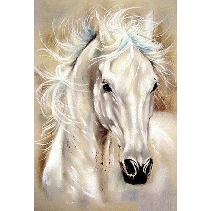 Kit Peinture Diamant 5D - Cheval Blanc, 30 X 40 Cm - Avec Strass, Toile Adhésive Et Outils - 6