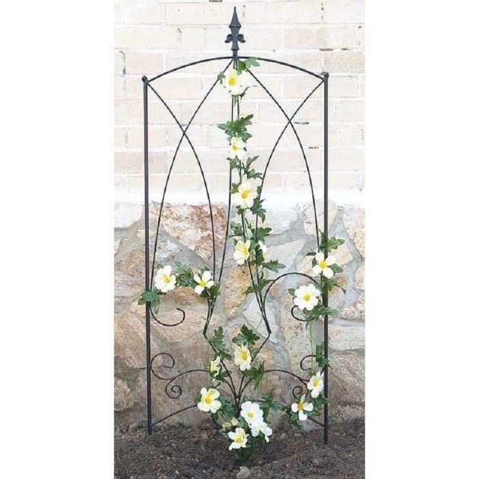 Support Pour Plantes Grimpantes Achat Vente Pas Cher