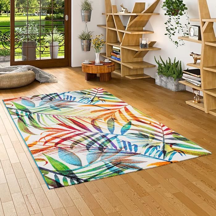 Tapis Faro Design Moderne - Couleurs Vives Pour Salon Et Chambre - 100% Polypropylène Facile à Nettoyer