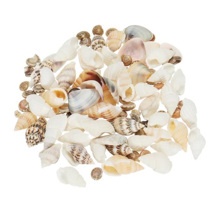 Get Wallpaper Tempsa 40pcs Lot Diy Mini Coquillage Escargot De Mer Bigorneau Mixte Naturelle Jouet De Plage Enfant Paysage Aquarium Decor Achat Vente Deco Vegetale Racine Tempsa 40pcs Lot Diy Mini Cdiscount Desktop Wallpaper
