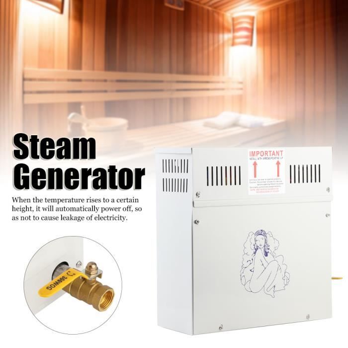 Générateur de vapeur sauna douche chauffe-bain à vapeur 4.5KW 220V