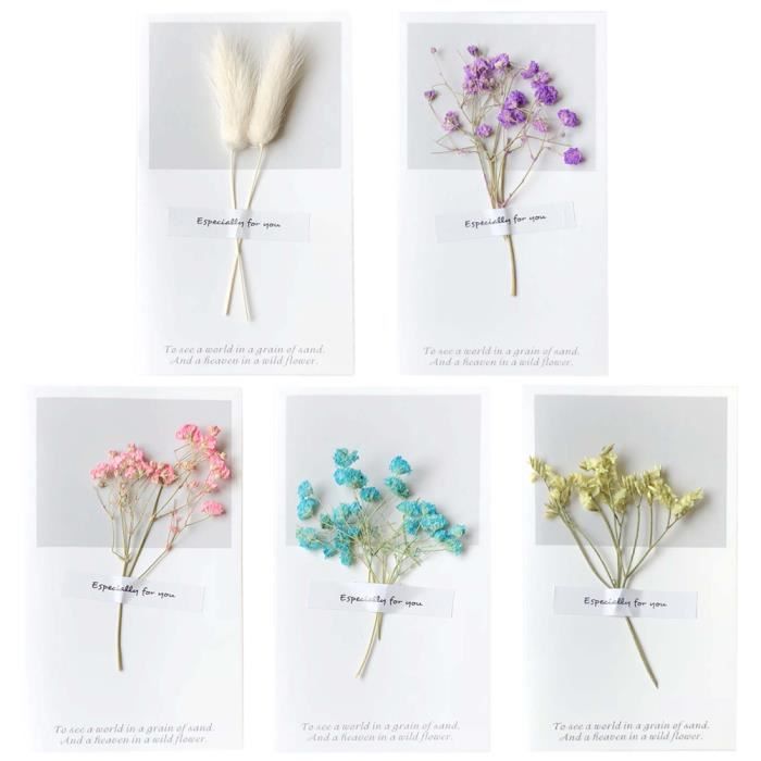5 Pcs Vintage Papier Carte De Voeux Diy Fleur Sechee A La Main Carte De Vœux Carte Anniversaire Carte De Correspondance Achat Vente Carte Correspondance 5 Pcs Vintage Papier Carte De Cdiscount 5 Pcs Vintage Papier Carte De Voeux Diy Fleur Sechee A La Main Carte De Vœux Carte Anniversaire Carte De Correspondance Achat Vente Carte Correspondance 5 Pcs Vintage Papier Carte De Cdiscount