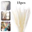 15pcs Natural Dried Reed Flowers Bouquets Pampas Herbe pour la décoration de table à domicile-1