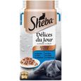 SHEBA Délices du Jour 120 Sachets fraîcheur pour chat Poissons + Volailles 50 g-2