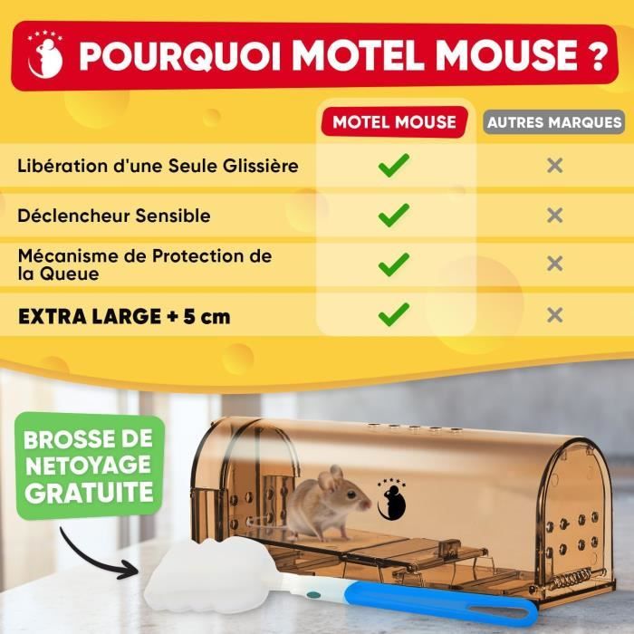 Motel Mouse Piège a Souris Vivante pour Intérieur & Extérieur