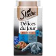 SHEBA Délices du Jour 120 Sachets fraîcheur pour chat Poissons + Volailles 50 g-3