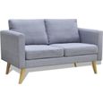 |Promotion| Sofa Canapé de relaxation | Canapé droit fixe 2 places "Rétro" | Tissu Gris clair &MP994338-0
