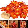 Decoration automne, 10m 100 Guirlandes lumineuses, Guirlande de feuilles d'automne, Decoration halloween/ Noël/ Thanksgiving/-0