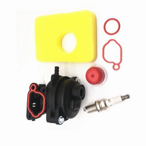 Carburateur Complet Avec Filtre à Air Et Bougie Pour Moteurs Briggs & Stratton 300E/450E/500E - Kit D'entretien Tondeuse